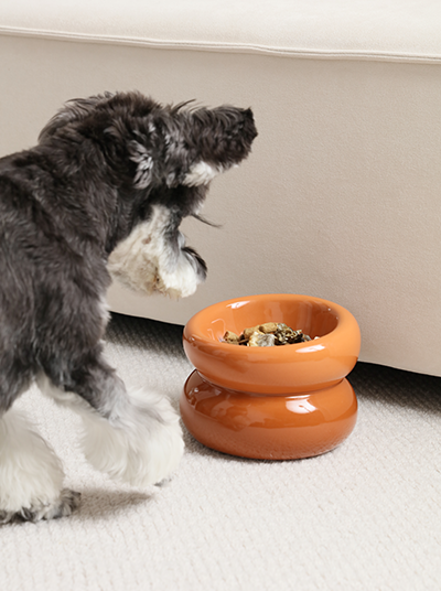 Soufflé Pet Bowl - Amber Orange