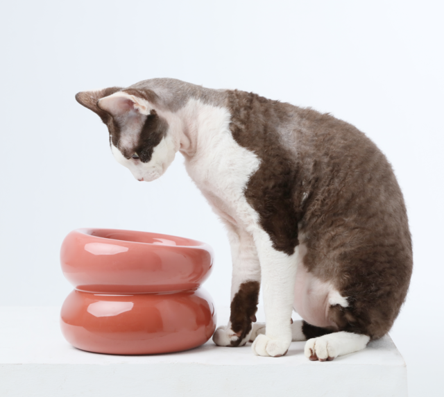 Soufflé Pet Bowl - Rose Pink