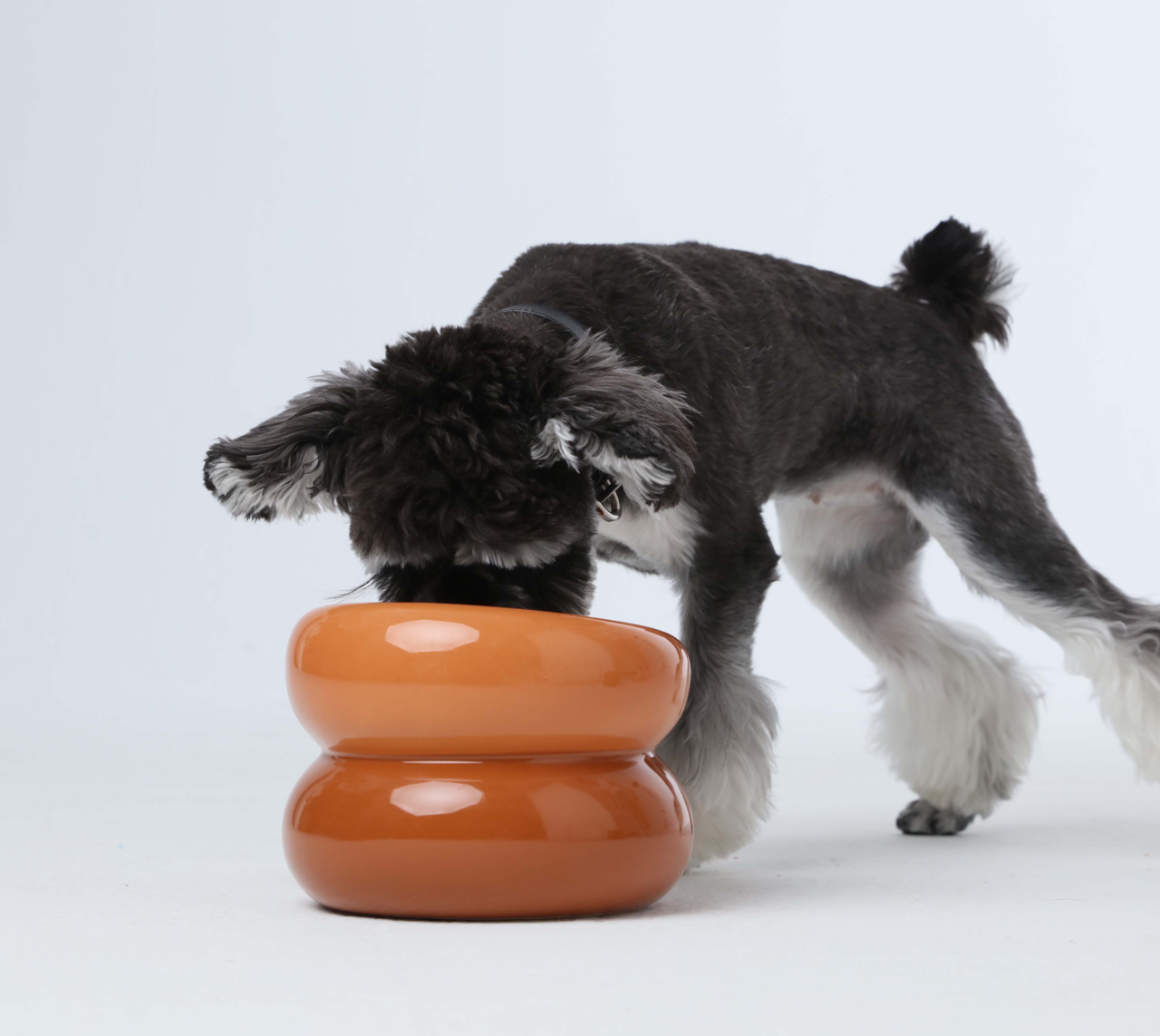 Soufflé Pet Bowl - Rose Pink