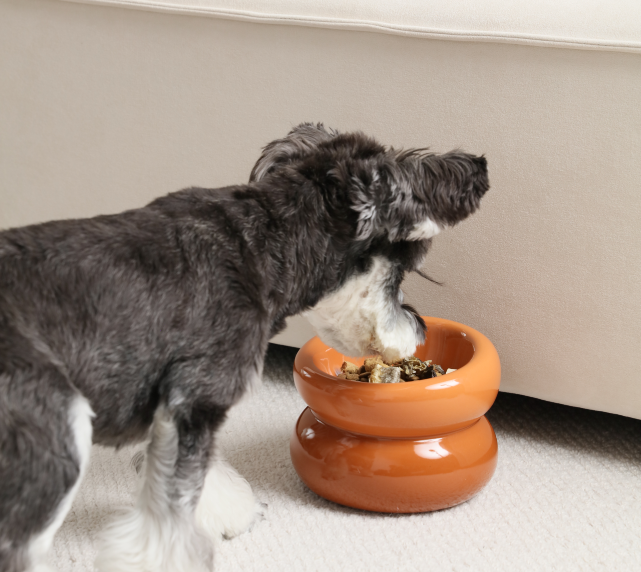 Soufflé Pet Bowl - Rose Pink