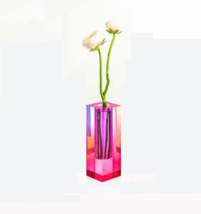 Vibrant Acrylic Flower Vase